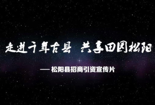 松阳县招商引资宣传片